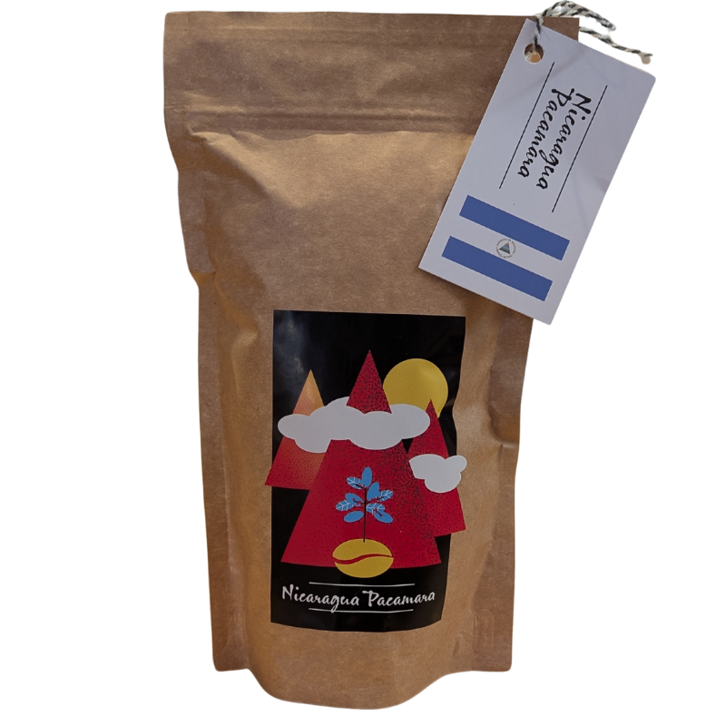 Nicaragua Pacamara